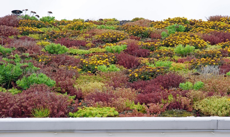 Bild dachterrasse 2